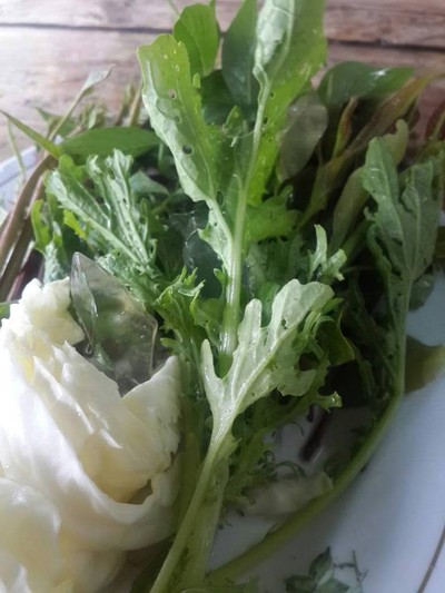 ตำแซ่บ แก่นขอน